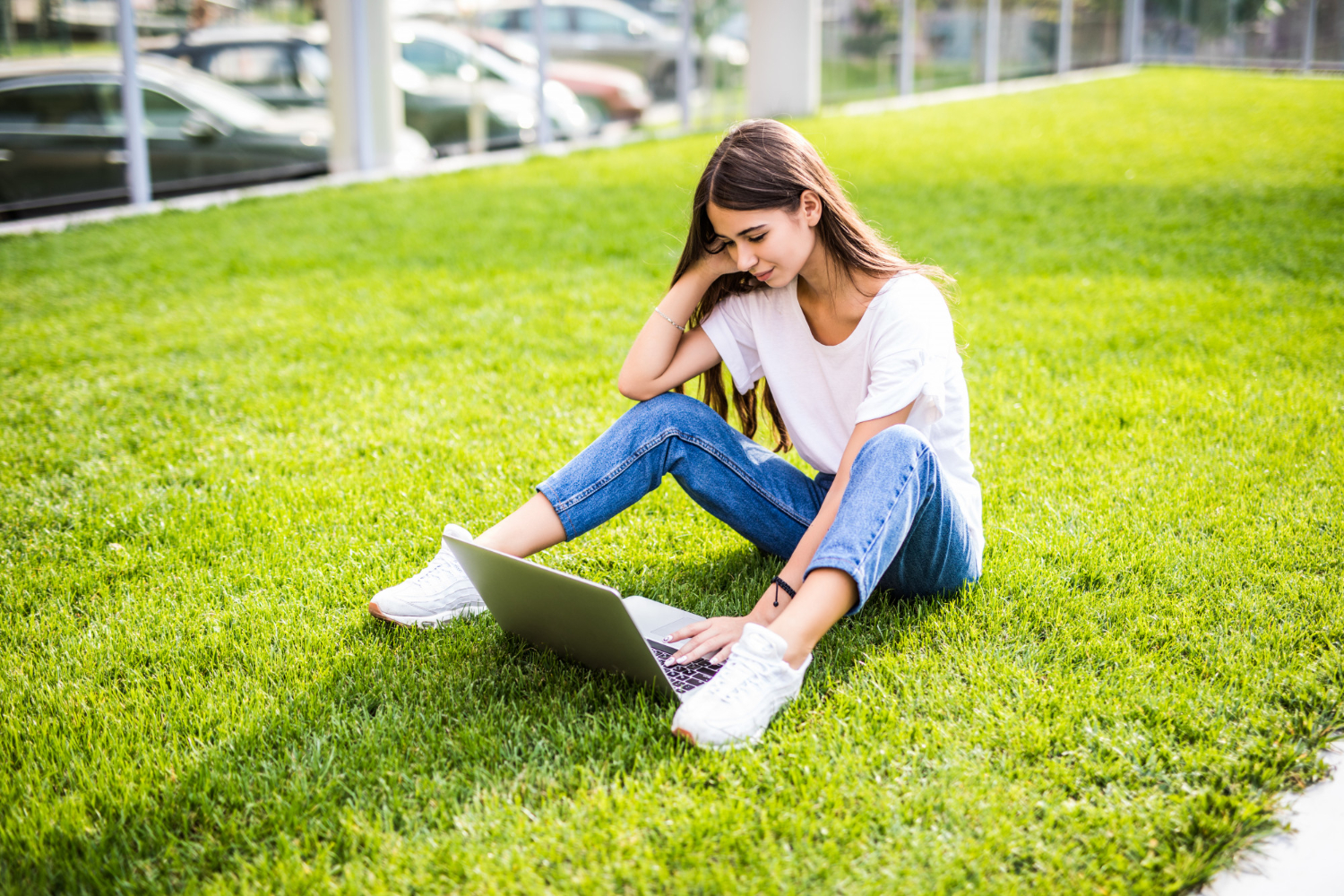 Artificial Grass Cost