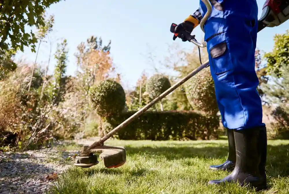 Garden maintenance including lawn mowing, hedge trimming and plant care in Harrow