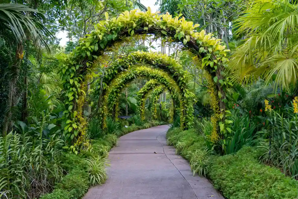 Modern garden design with decorative plants, outdoor seating and a functional layout